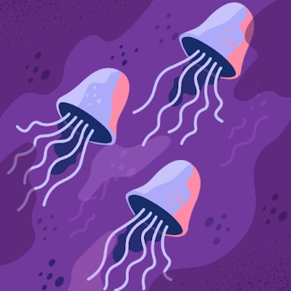 Meet your Posher, Eli - Picture 1 of 1